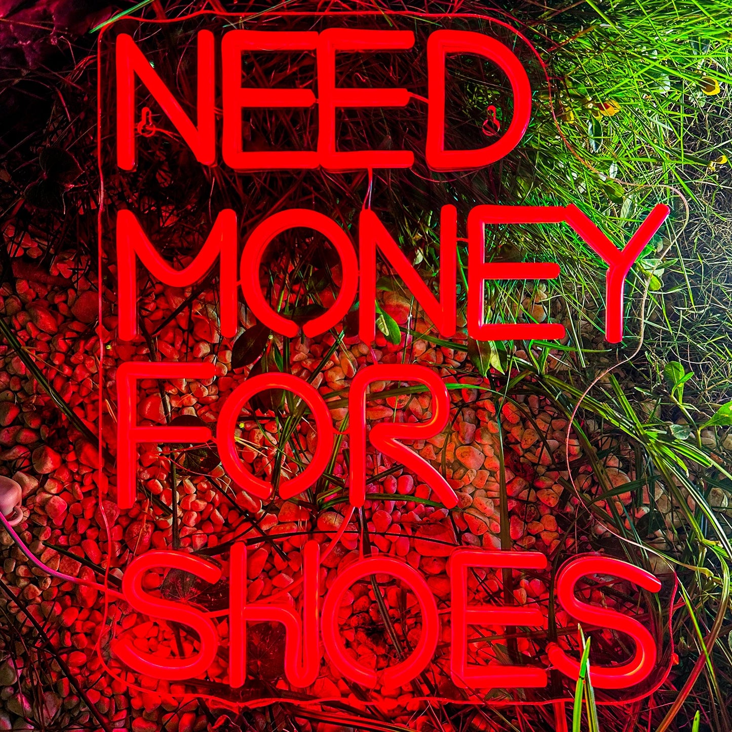 Need Money for Shoes